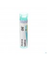 Avena Sativa 06d Gr 4g Boiron