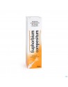 Heel euphorbium compositum spray nasal 20 ml nm