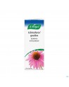 A.Vogel Echinaforce 100ml 