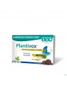 Plantivox Pastilles 24