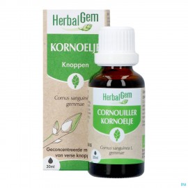 Herbalgem Kornoelje Bio 30ml