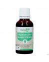 Herbalgem Mammoetboom Bio 30ml