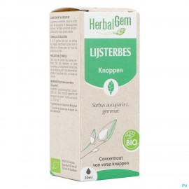 Herbalgem Lijsterbes Bio 30ml