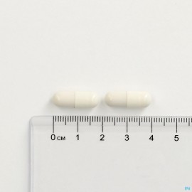 Cogniton Focus Caps 60