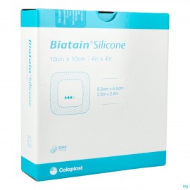 Biatain Silicone Pans Mousse 10,0x10,0cm 10 33435