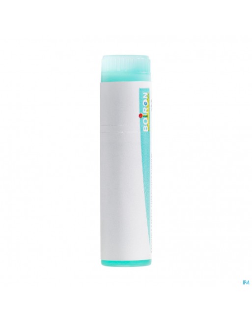 Arnica Montana 200k Gl Boiron