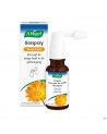 A.vogel Oorspray Droge Huid 20ml